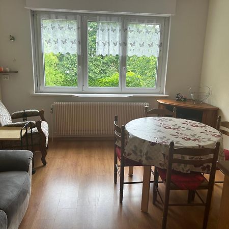 אלטקירש Superbe Maison 3 Chambres 1 Etage Et Sous-Sol, Avec Jardin Et Terrasse מראה חיצוני תמונה